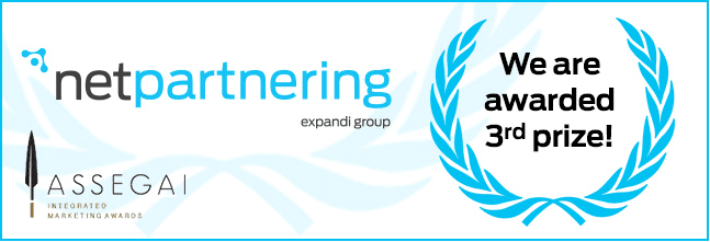 NetPartnering wins 2017 Assegai Award